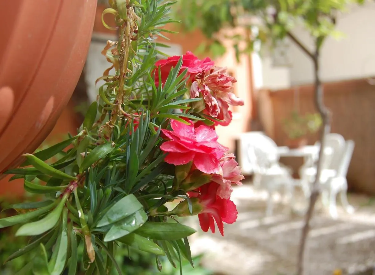 Gasthof Hotel Casa Satta 1925 Olbia